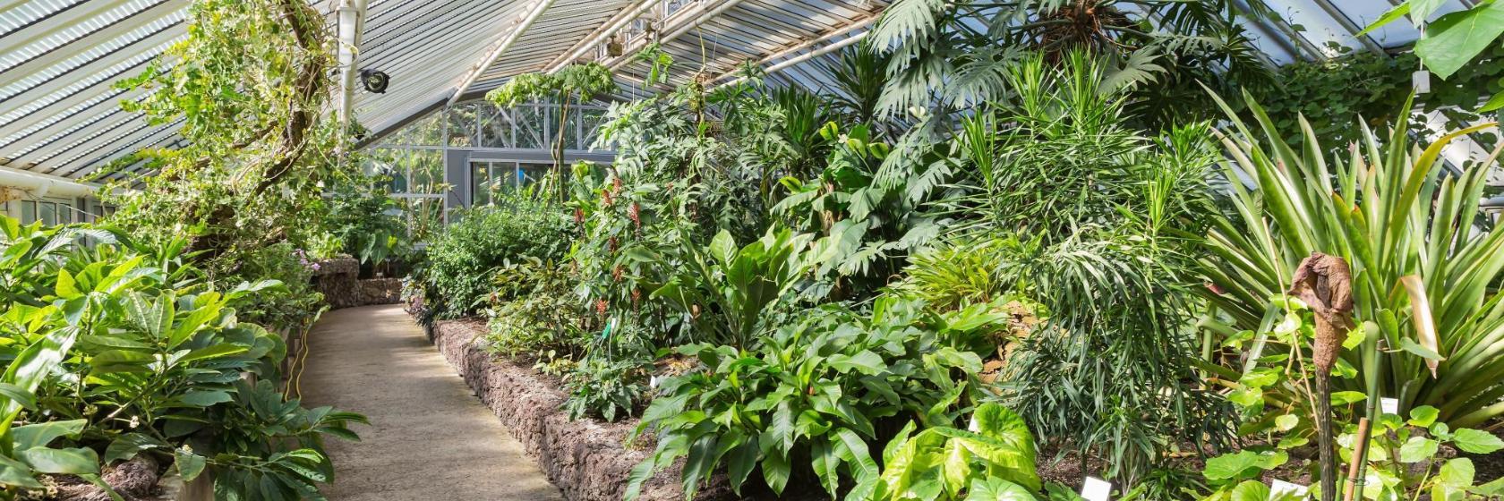 Botanical Garden and Botanical Museum